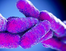 Nuevo-real-decreto-legionella-2022